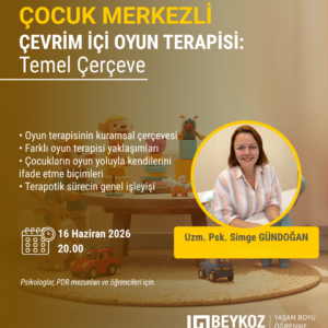 Çocuk Merkezli Oyun Terapisi: Temel Çerçeve